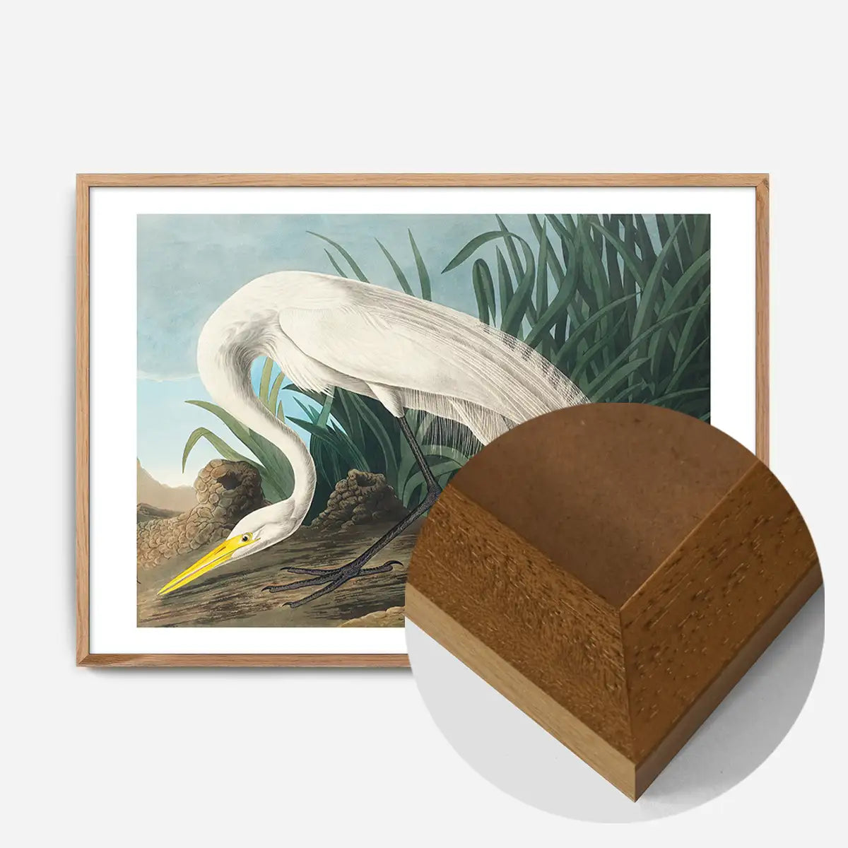 White Heron Vintage Bird Print