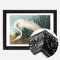 Black Ornate Frame