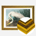 Gold Ornate Frame