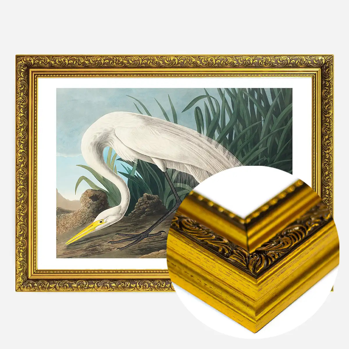 White Heron Vintage Bird Print
