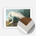 White Wood Frame
