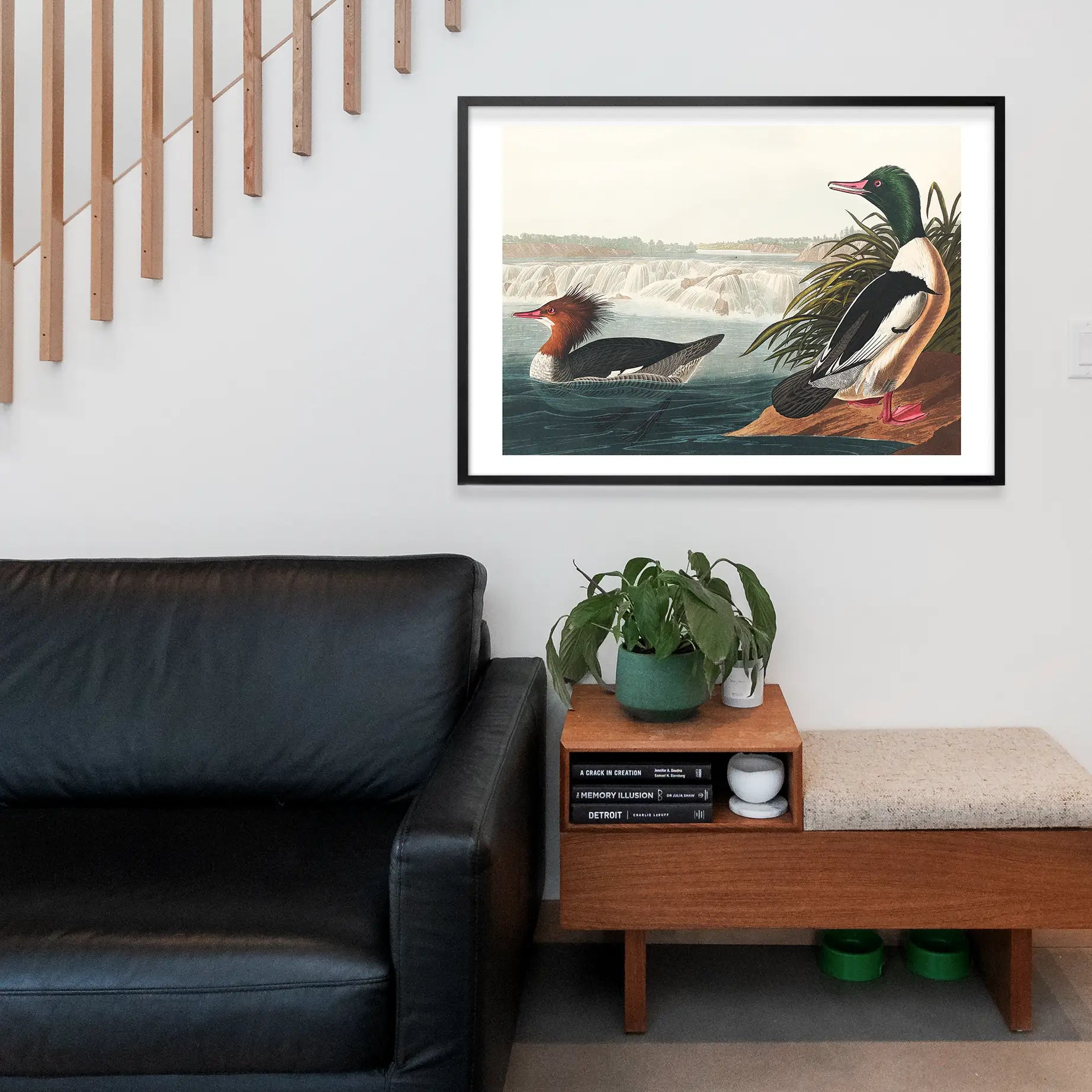 Goosanders Vintage Bird Print