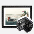 Black Ornate Frame