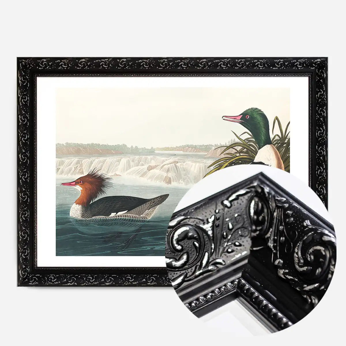 Goosanders Vintage Bird Print