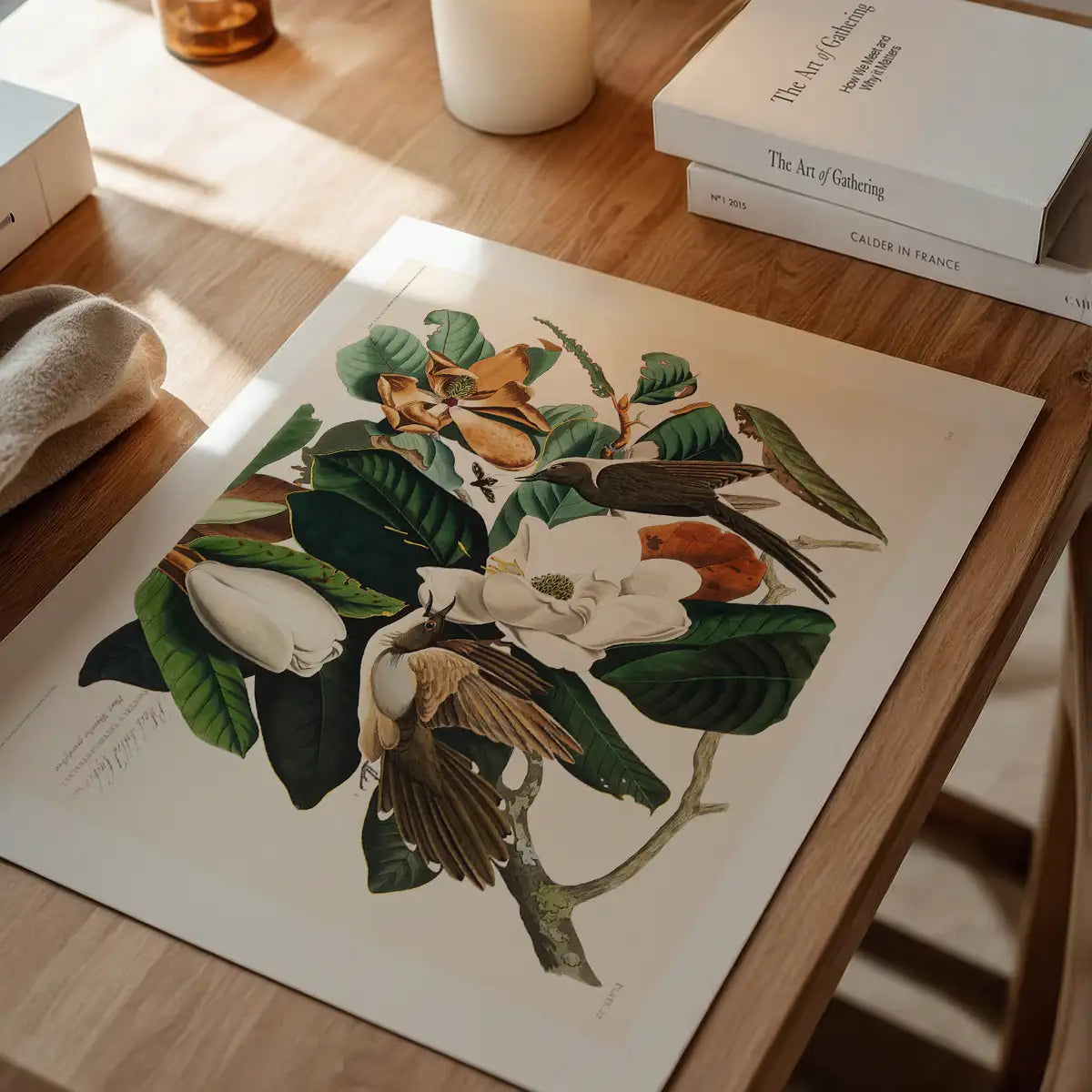 Black Billed Cuckoo Vintage Bird Print