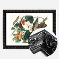 Black Ornate Frame