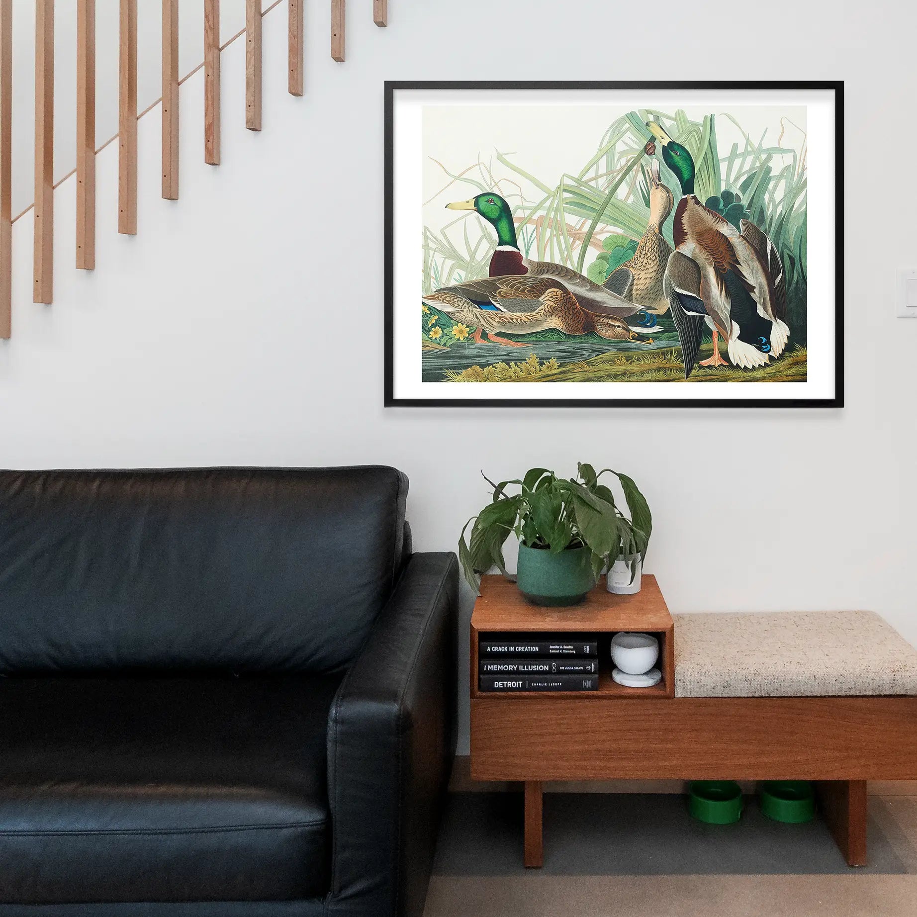 Mallard Duck Vintage Bird Print