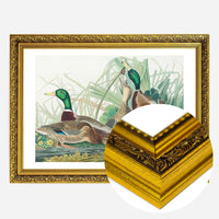 Mallard Duck Vintage Bird Print