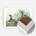 White Wood Frame