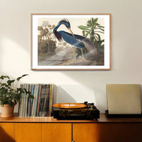 Louisiana Heron Vintage Bird Print