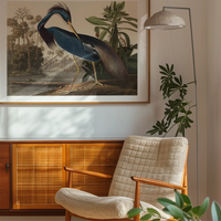 Louisiana Heron Vintage Bird Print
