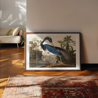Louisiana Heron Vintage Bird Print