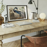 Louisiana Heron Vintage Bird Print