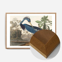 Louisiana Heron Vintage Bird Print