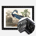 Black Ornate Frame