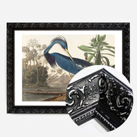 Louisiana Heron Vintage Bird Print