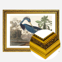Louisiana Heron Vintage Bird Print