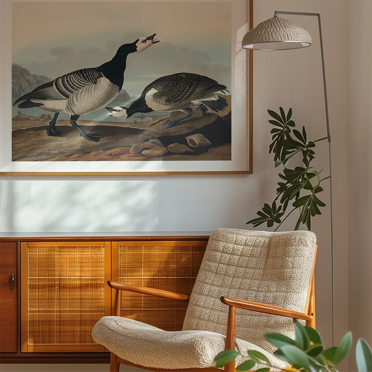 Barnacle Goose Vintage Bird Print