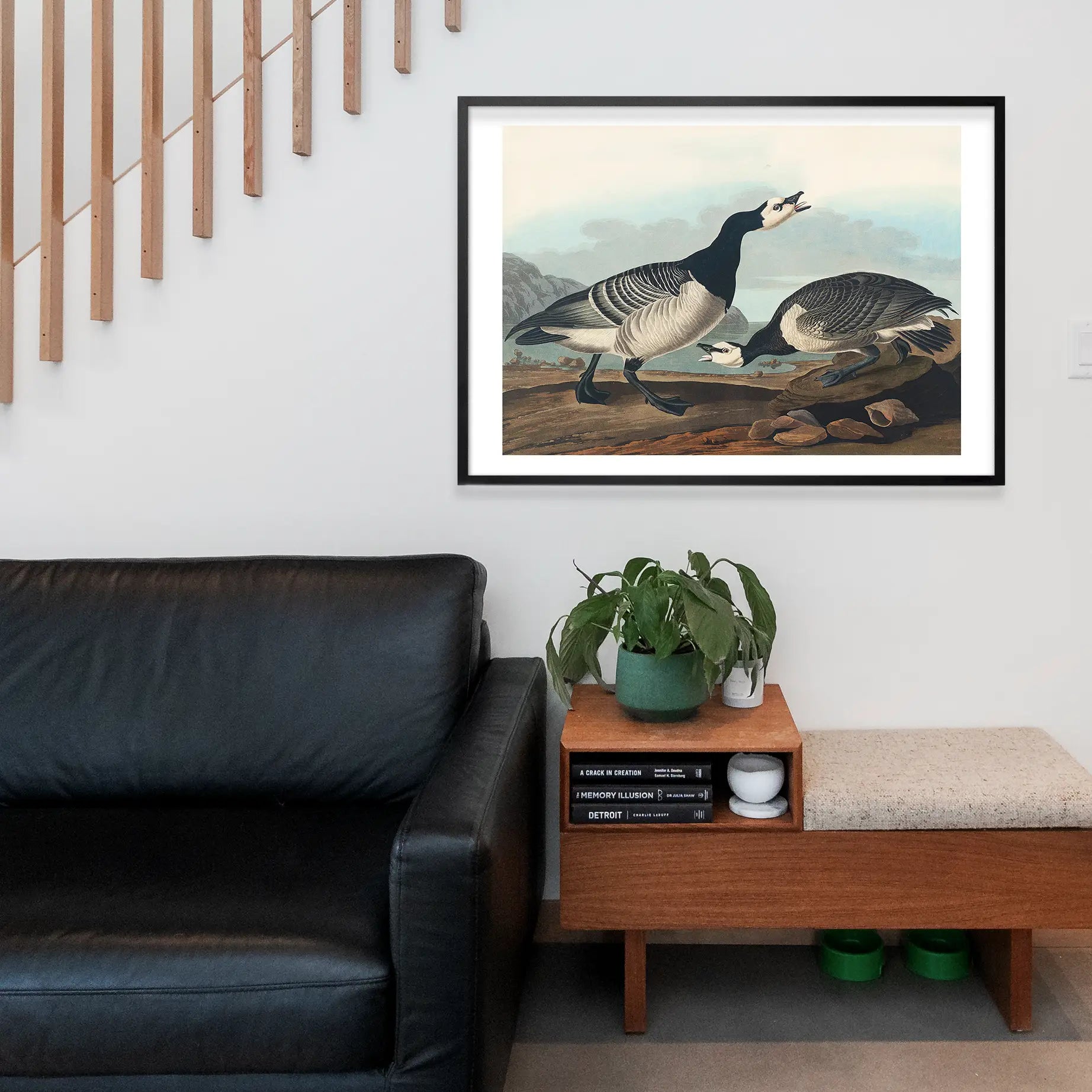 Barnacle Goose Vintage Bird Print