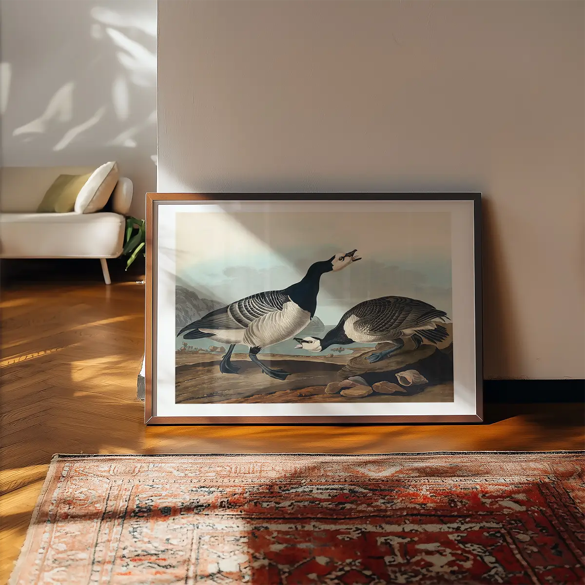 Barnacle Goose Vintage Bird Print
