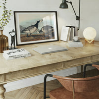 Barnacle Goose Vintage Bird Print