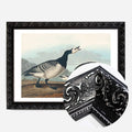 Black Ornate Frame