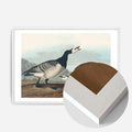 White Wood Frame