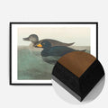 Black Wood Frame