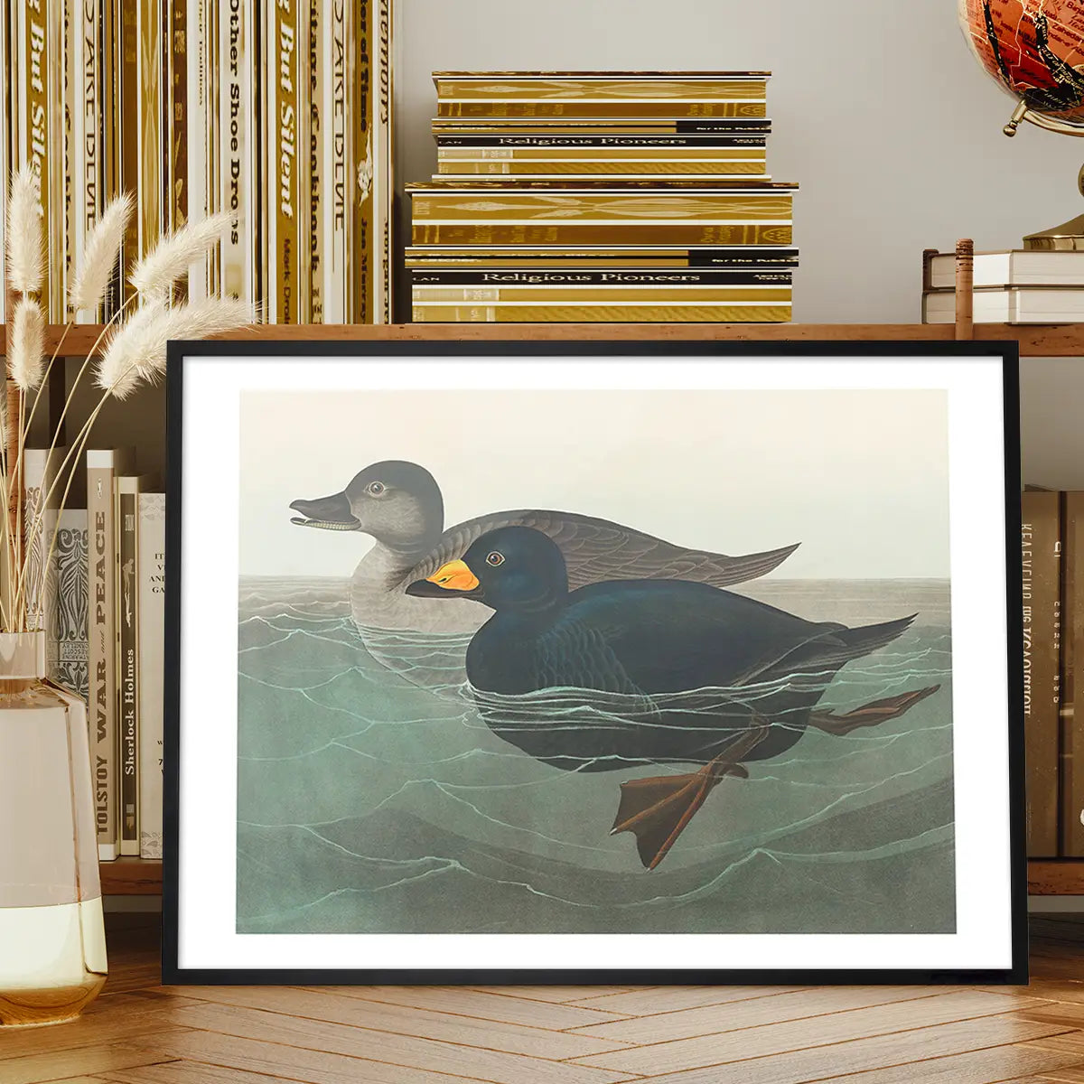 Scoter Duck Vintage Bird Print