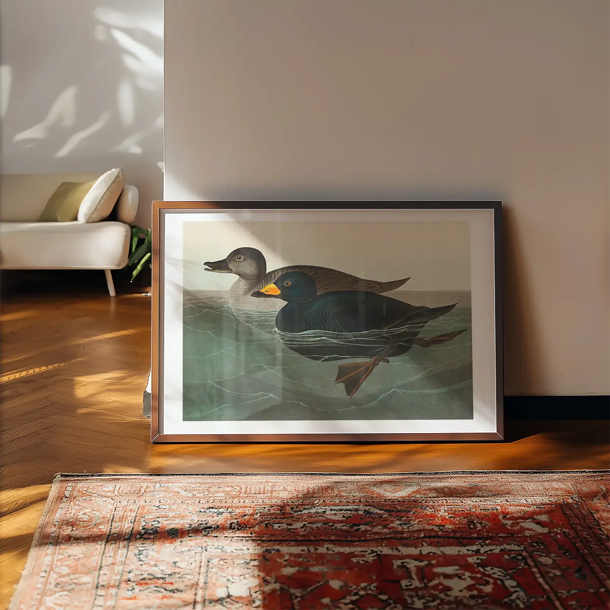 Scoter Duck Vintage Bird Print