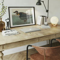 Scoter Duck Vintage Bird Print