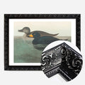 Black Ornate Frame