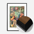Black Wood Frame