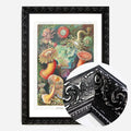 Black Ornate Frame