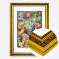 Gold Ornate Frame