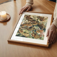 Lizards Illustration Vintage Print