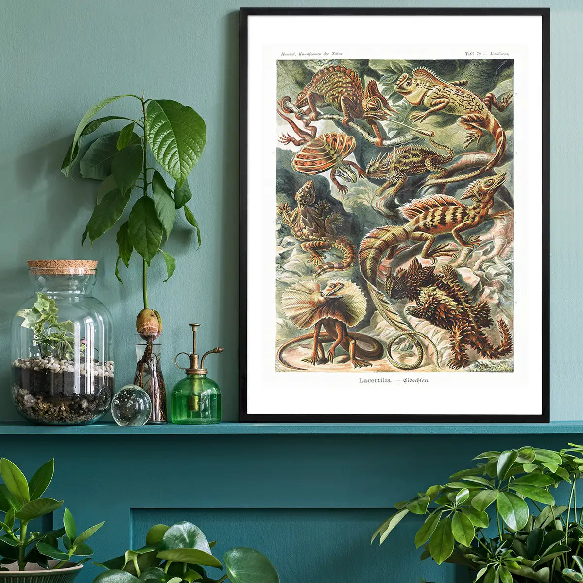 Lizards Illustration Vintage Print