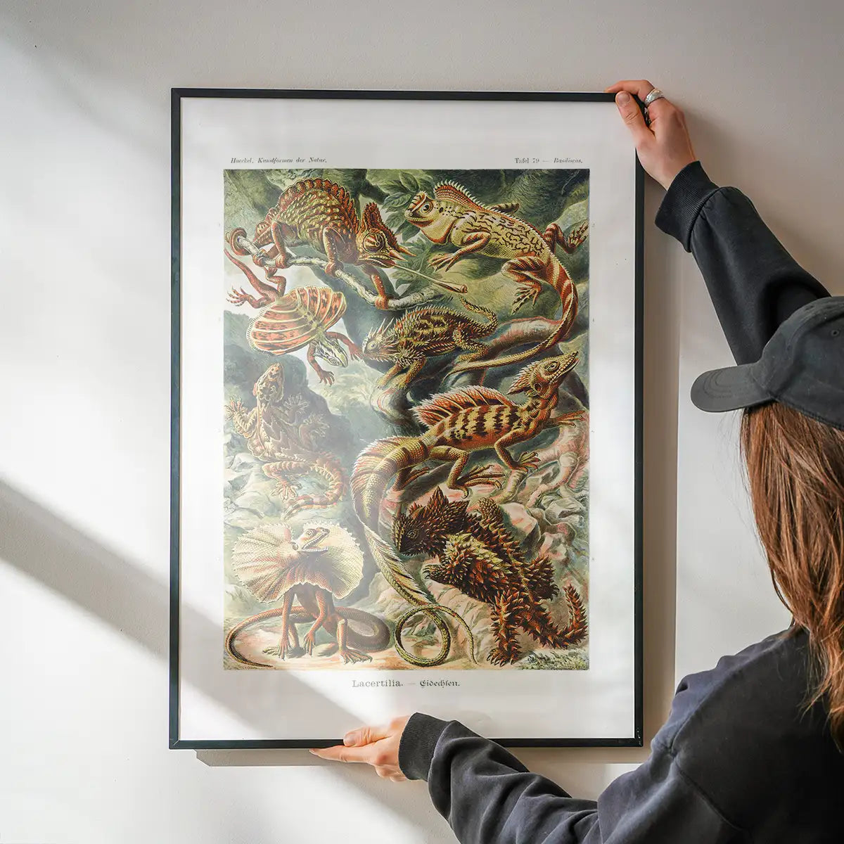Lizards Illustration Vintage Print