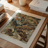 Lizards Illustration Vintage Print