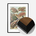 Black Wood Frame