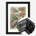 Black Ornate Frame