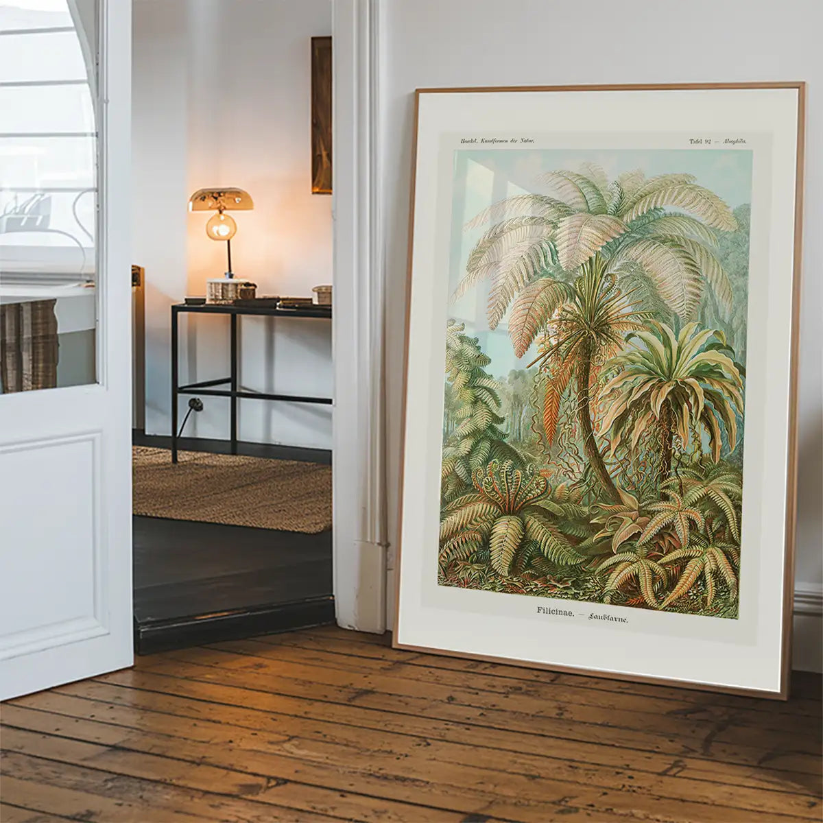 Ferns Illustration Vintage Print