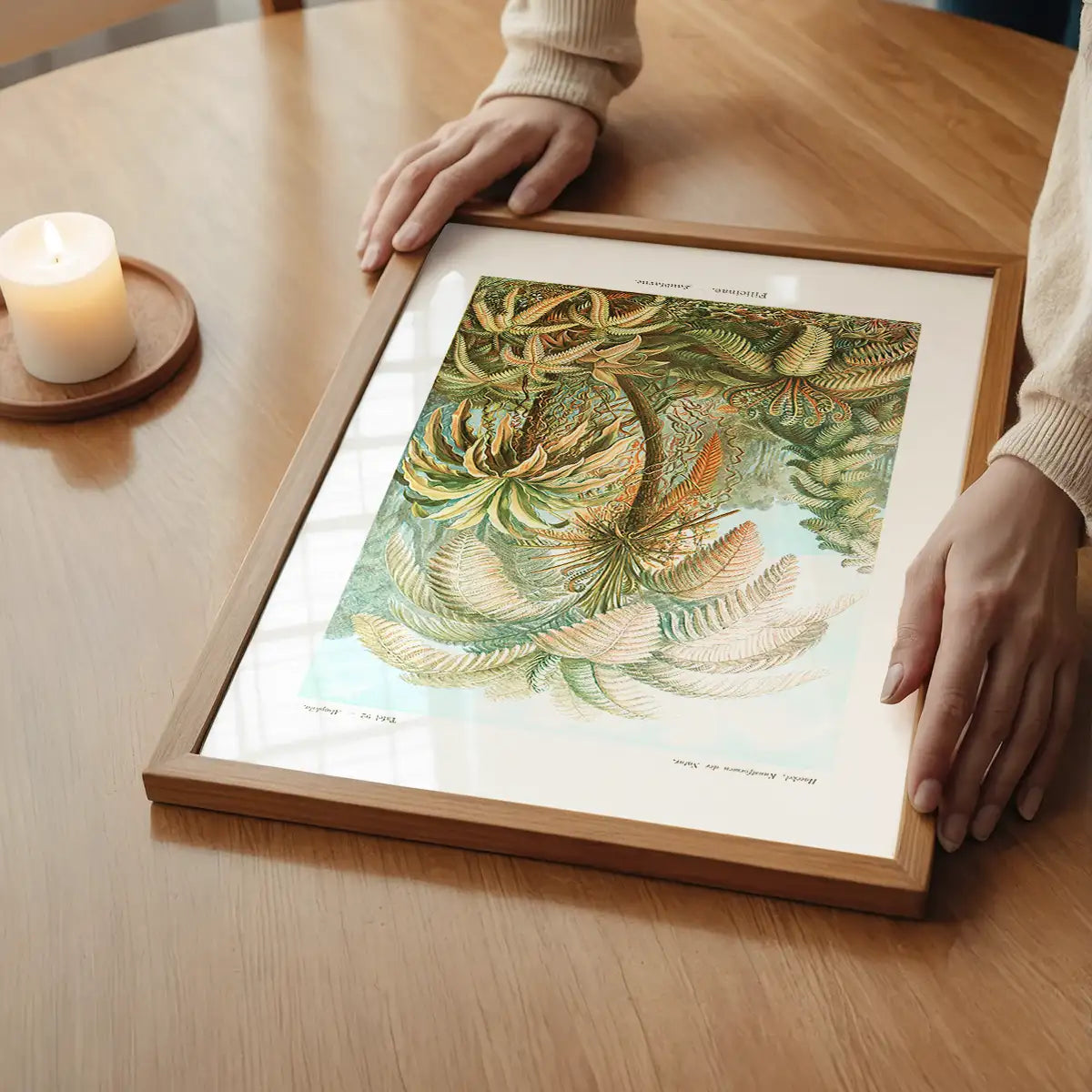 Ferns Illustration Vintage Print