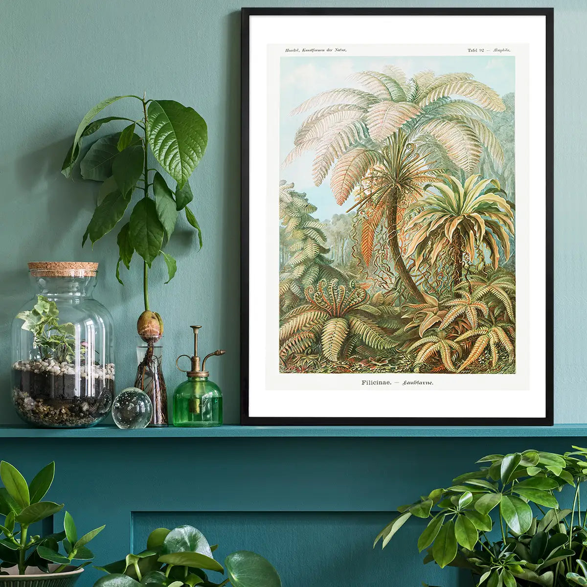 Ferns Illustration Vintage Print