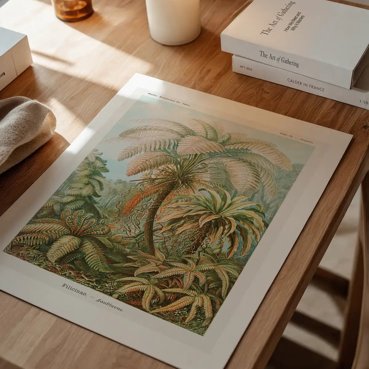 Ferns Illustration Vintage Print
