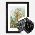 Black Ornate Frame