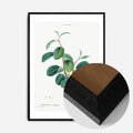 Black Wood Frame