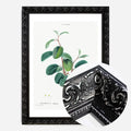Black Ornate Frame