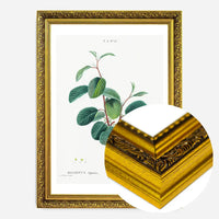 Alpine Buckthorn Vintage Antique Print