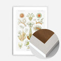 White Wood Frame